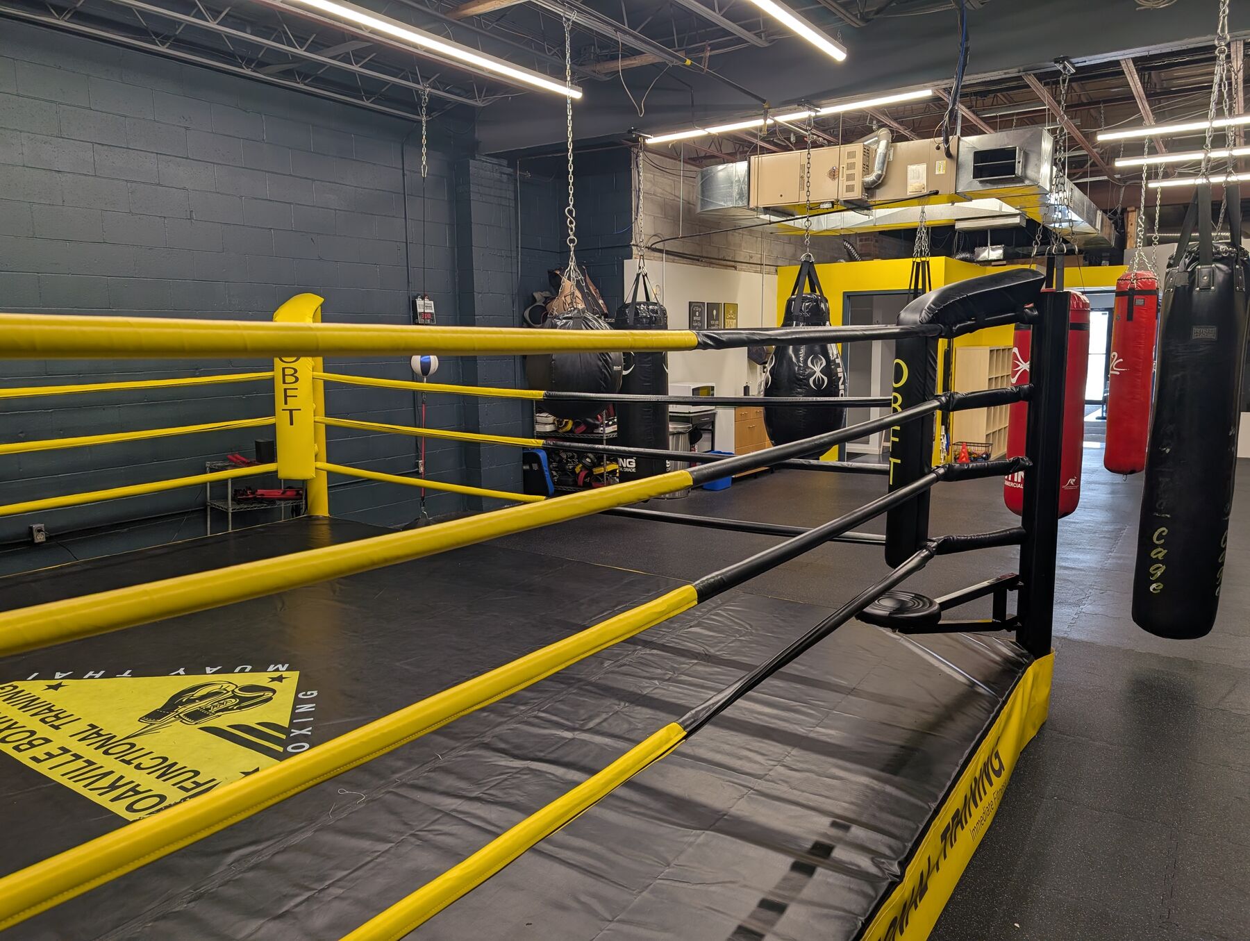 The boxing ring on the training floor at Oakville Boxing & Functional Training