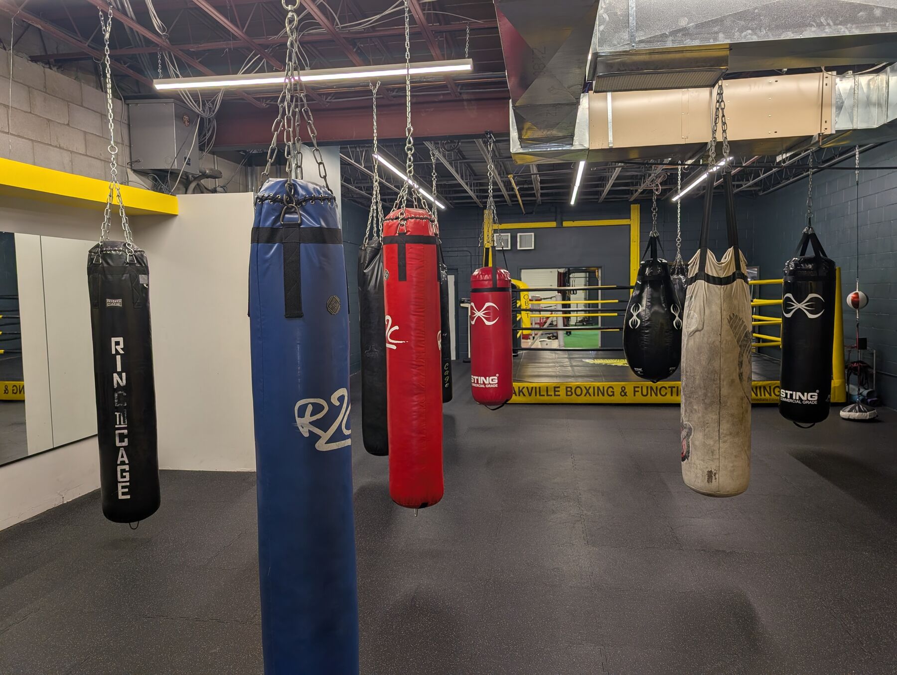 Heavy bags lined up on the OBFT training floor